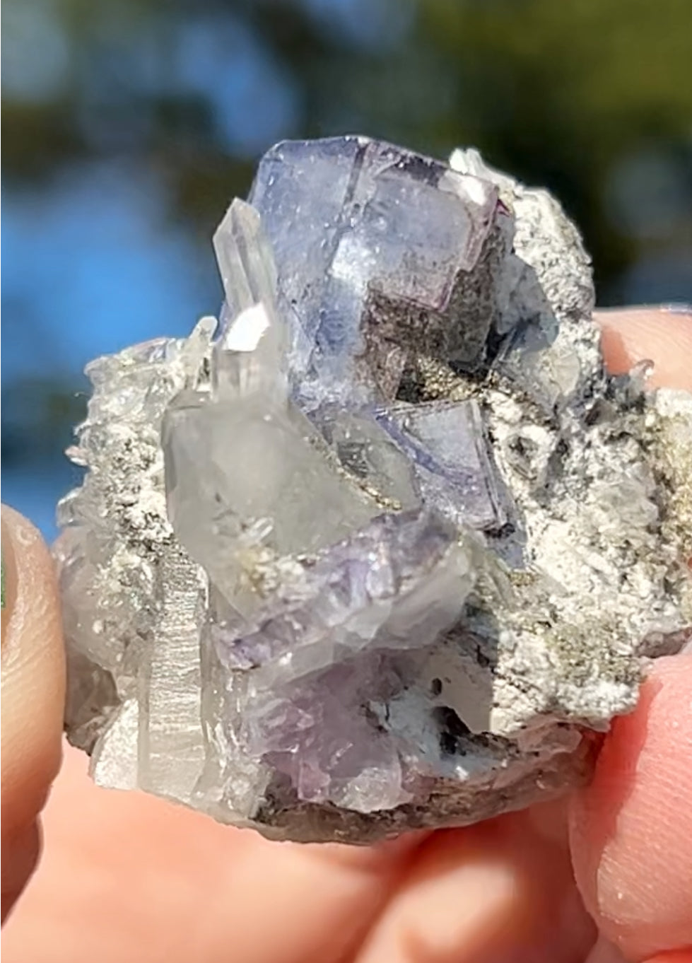 Rare YGX Rutile Blue Fluorite w/ Purple Edges & Black Rutile Twin On Chlorite Quartz From Yao Gang Xian Mine, Chenzhou, Hunan, China 🇨🇳 #2