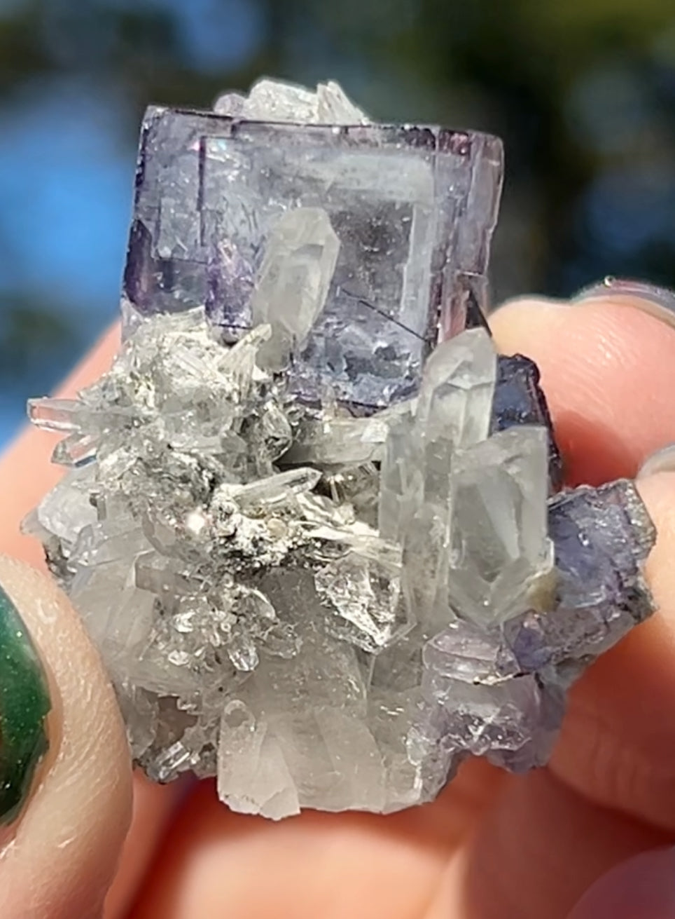 Rare YGX Rutile Blue Fluorite w/ Purple Edges & Black Rutile Twin On Chlorite Quartz From Yao Gang Xian Mine, Chenzhou, Hunan, China 🇨🇳 #2