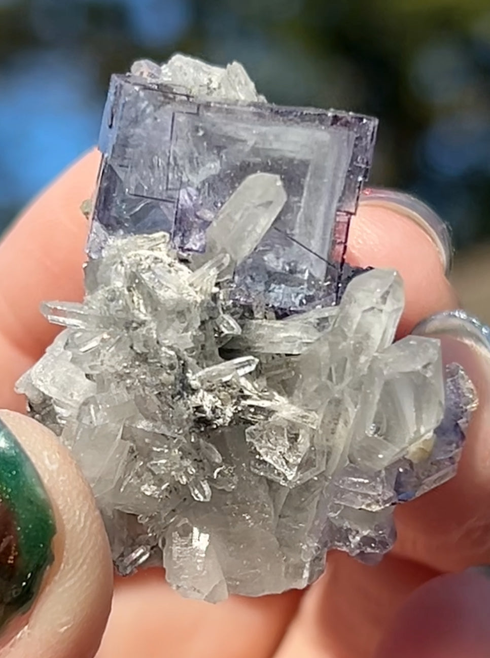 Rare YGX Rutile Blue Fluorite w/ Purple Edges & Black Rutile Twin On Chlorite Quartz From Yao Gang Xian Mine, Chenzhou, Hunan, China 🇨🇳 #2