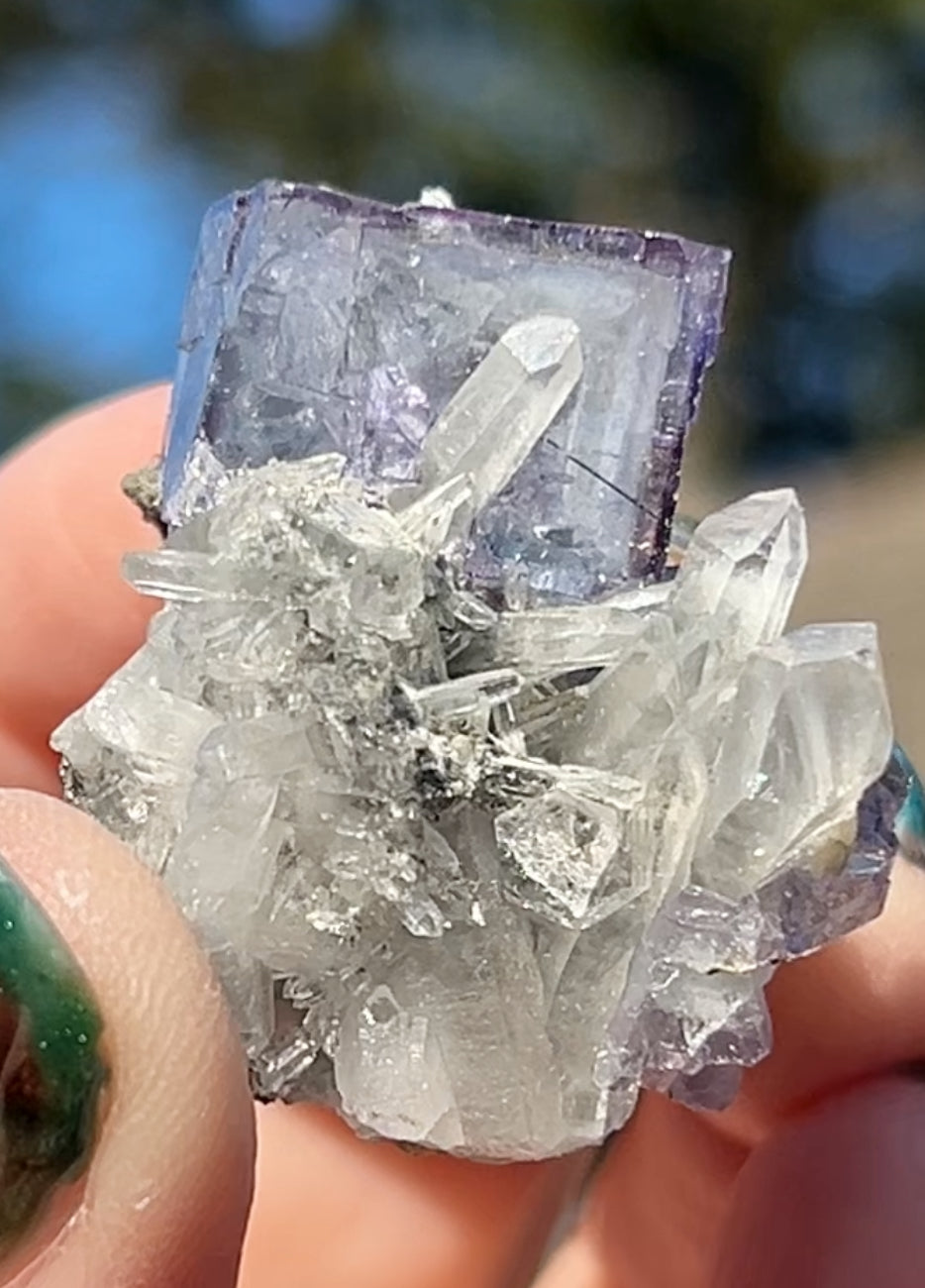 Rare YGX Rutile Blue Fluorite w/ Purple Edges & Black Rutile Twin On Chlorite Quartz From Yao Gang Xian Mine, Chenzhou, Hunan, China 🇨🇳 #2