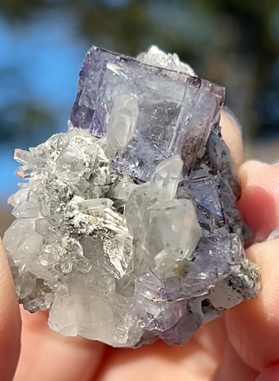 Rare YGX Rutile Blue Fluorite w/ Purple Edges & Black Rutile Twin On Chlorite Quartz From Yao Gang Xian Mine, Chenzhou, Hunan, China 🇨🇳 #2
