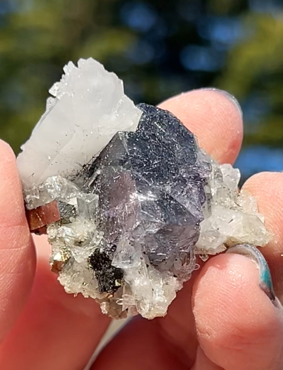 Rare YGX Rutile Navy Fluorite w/ Silver & Black Rutile Cube On Quartz, Wolframite, Muscovite & Chalcopyrite From Yao Gang Xian Mine, Chenzhou, Hunan, China 🇨🇳 #11