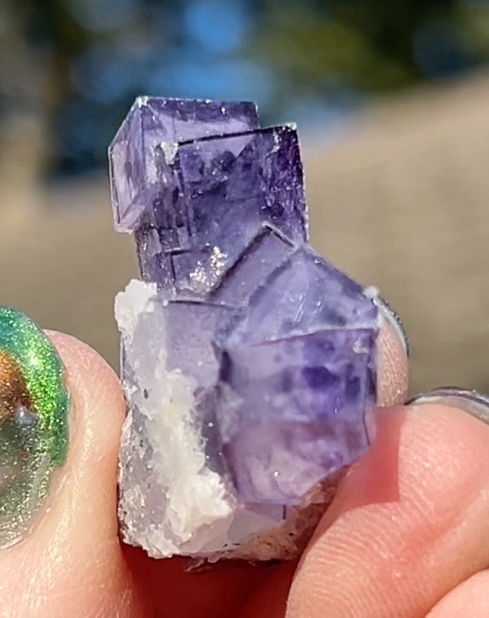 Rare YGX Rutile Navy Fluorite w/ Purple Edges & Silver Rutile Cube On Quartz From Yao Gang Xian Mine, Chenzhou, Hunan, China 🇨🇳 #14