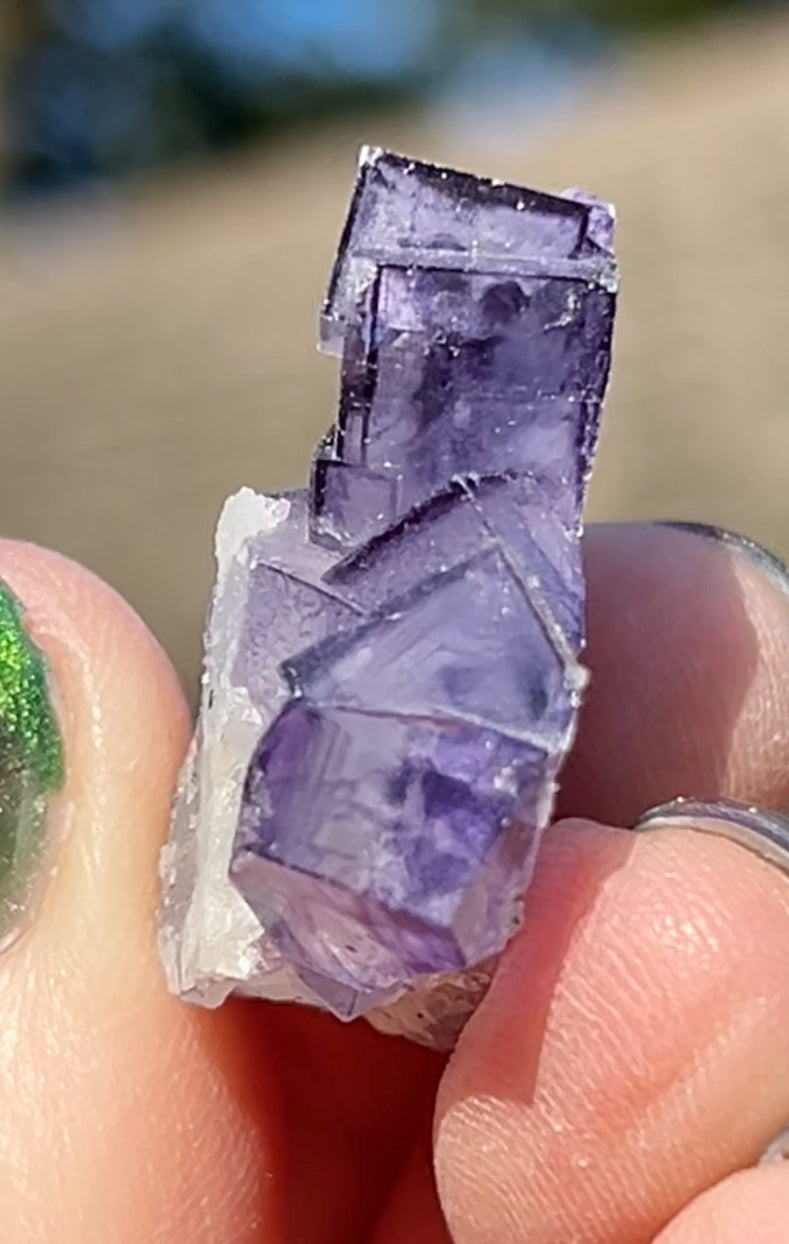 Rare YGX Rutile Navy Fluorite w/ Purple Edges & Silver Rutile Cube On Quartz From Yao Gang Xian Mine, Chenzhou, Hunan, China 🇨🇳 #14