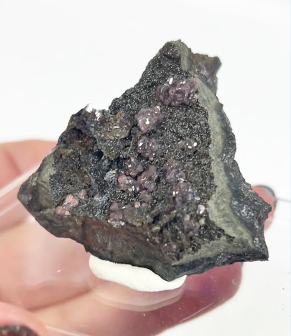 Rare Gem Rhodochrosite Pink DT Flowers From Potisi Mine, Francisco, Santa Eulalia, Chihuahua, Mexico 🇲🇽 #2