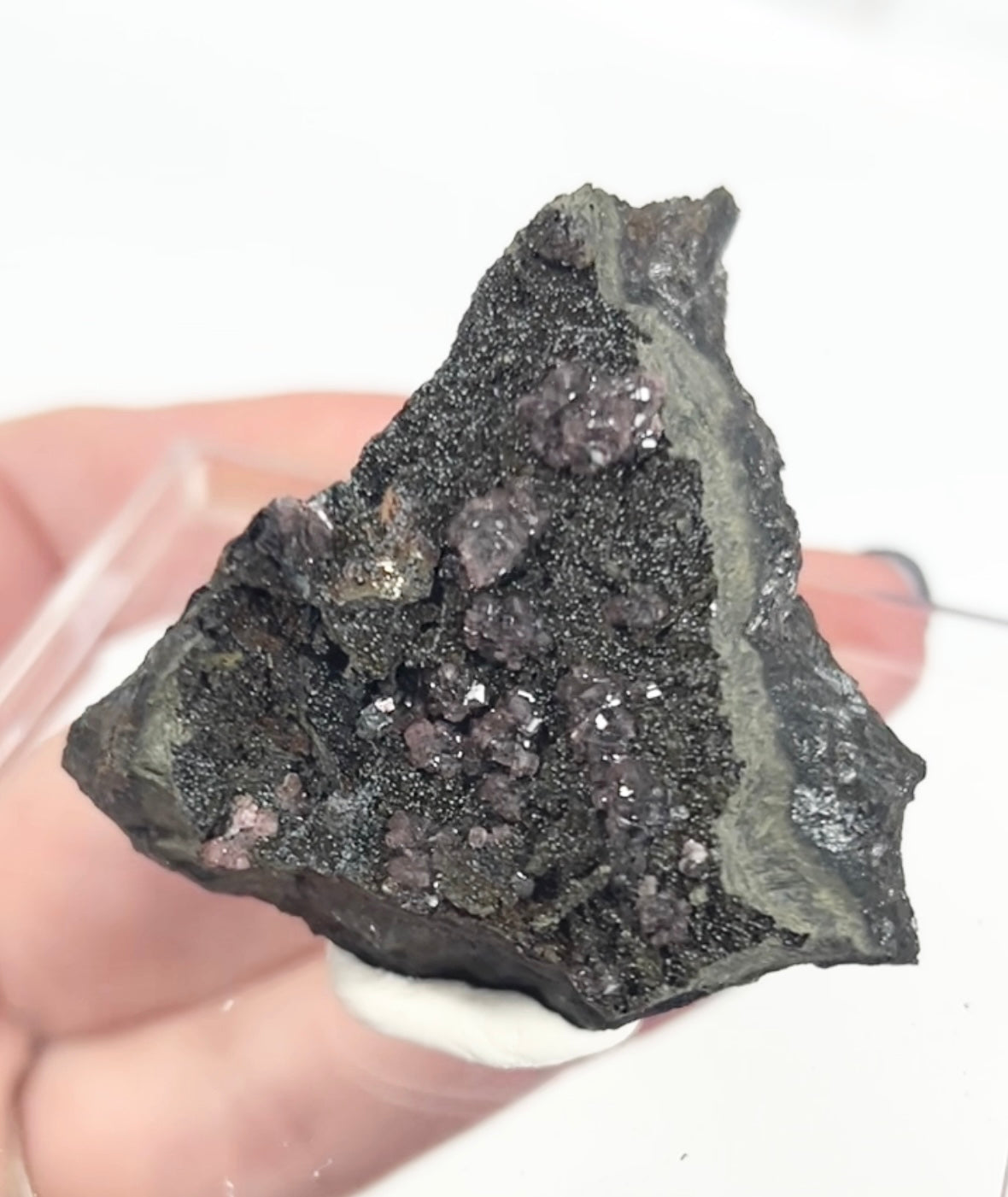 Rare Gem Rhodochrosite Pink DT Flowers From Potisi Mine, Francisco, Santa Eulalia, Chihuahua, Mexico 🇲🇽 #2