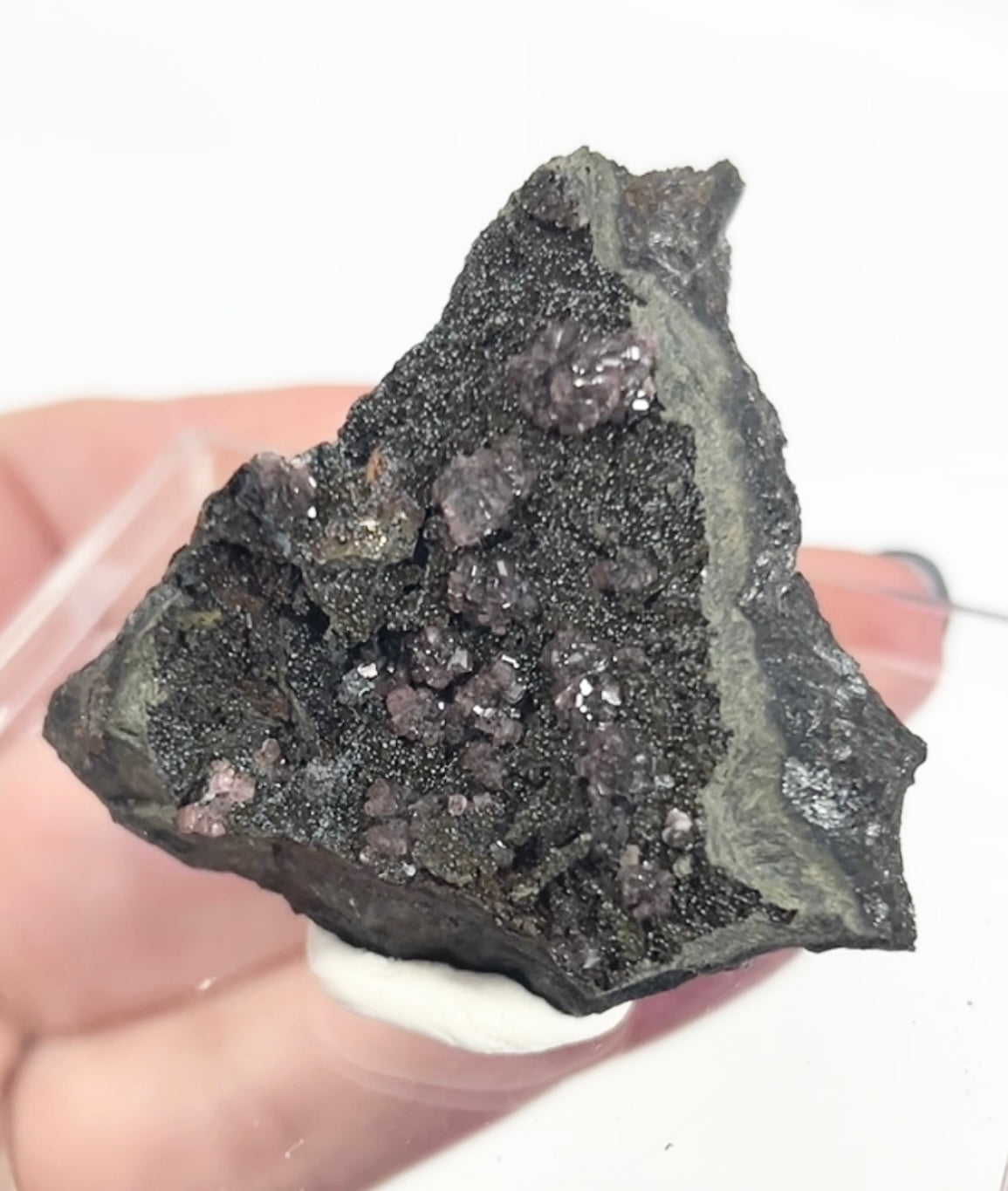 Rare Gem Rhodochrosite Pink DT Flowers From Potisi Mine, Francisco, Santa Eulalia, Chihuahua, Mexico 🇲🇽 #2