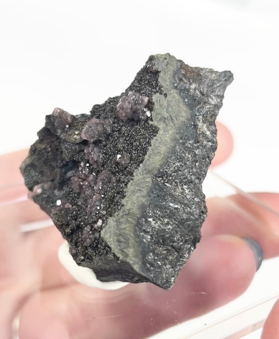 Rare Gem Rhodochrosite Pink DT Flowers From Potisi Mine, Francisco, Santa Eulalia, Chihuahua, Mexico 🇲🇽 #2