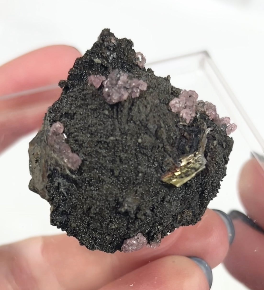 Rare Gem Rhodochrosite Pink DT Flowers From Potisi Mine, Francisco, Santa Eulalia, Chihuahua, Mexico 🇲🇽 #3