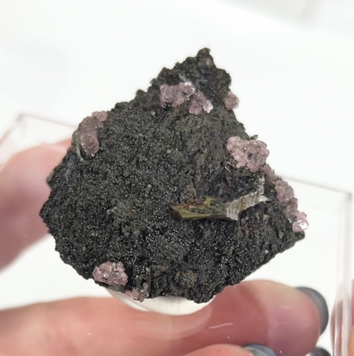 Rare Gem Rhodochrosite Pink DT Flowers From Potisi Mine, Francisco, Santa Eulalia, Chihuahua, Mexico 🇲🇽 #3