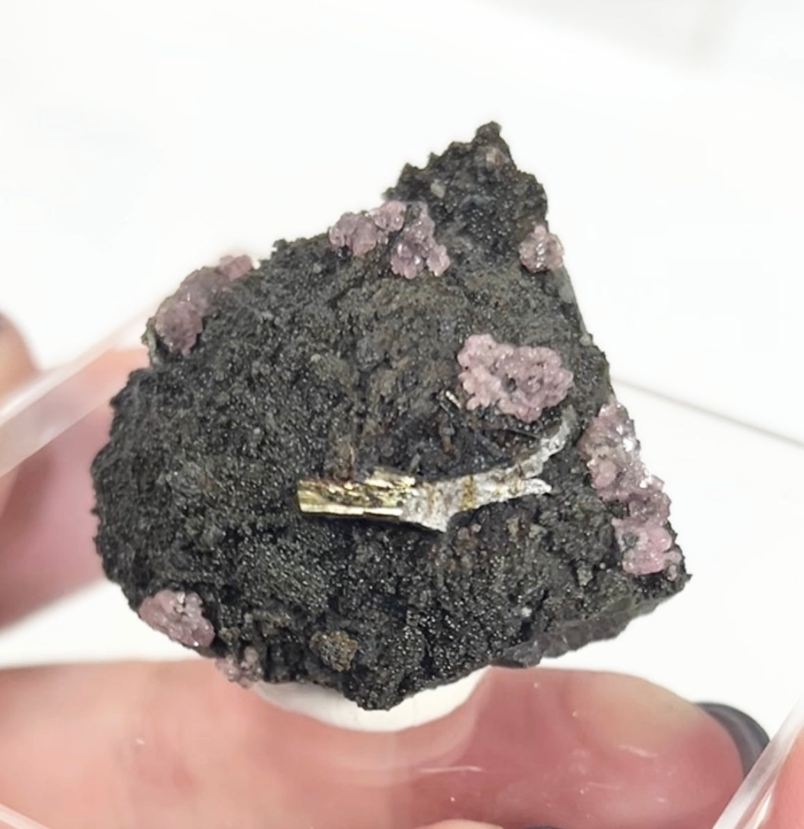 Rare Gem Rhodochrosite Pink DT Flowers From Potisi Mine, Francisco, Santa Eulalia, Chihuahua, Mexico 🇲🇽 #3