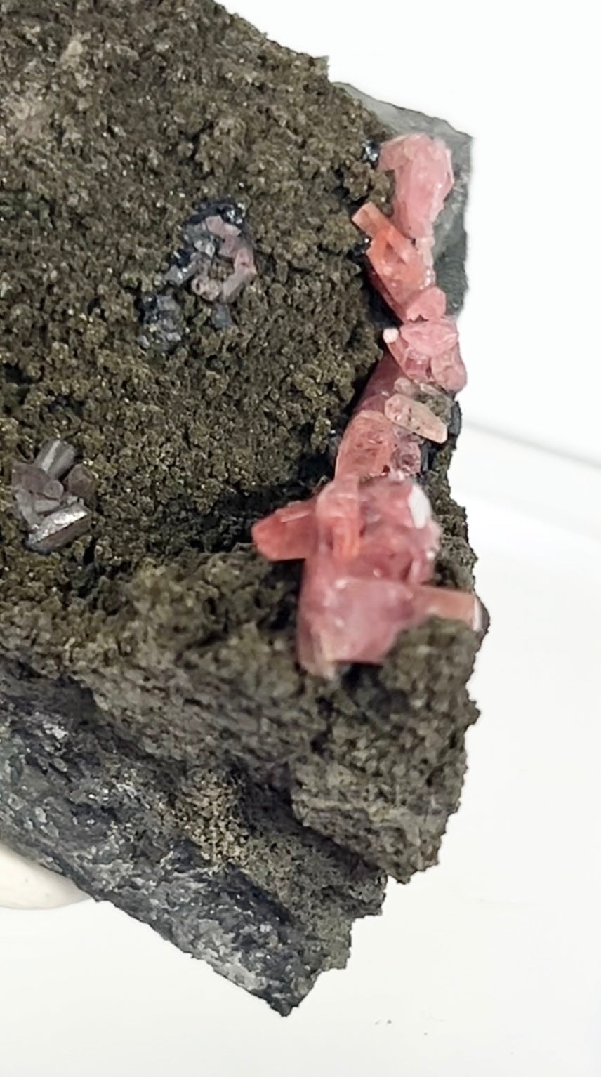 Rare Gem Rhodochrosite Salmon Pink DT From Potisi Mine, Francisco, Santa Eulalia, Chihuahua, Mexico 🇲🇽 #6