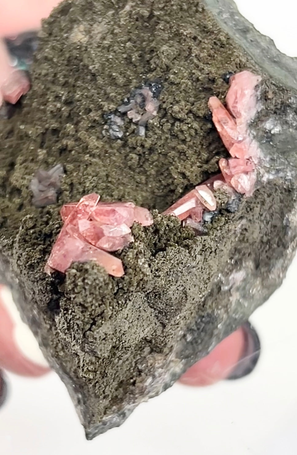 Rare Gem Rhodochrosite Salmon Pink DT From Potisi Mine, Francisco, Santa Eulalia, Chihuahua, Mexico 🇲🇽 #6