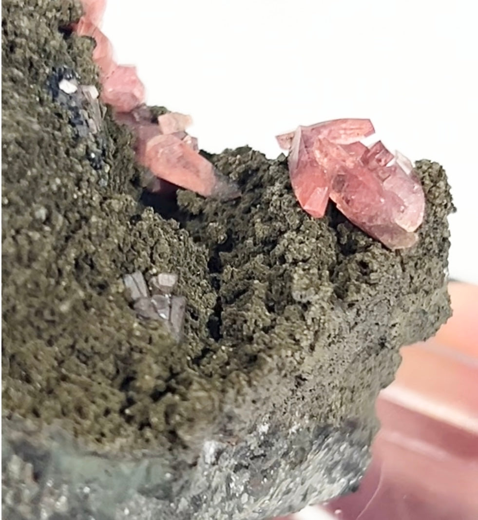Rare Gem Rhodochrosite Salmon Pink DT From Potisi Mine, Francisco, Santa Eulalia, Chihuahua, Mexico 🇲🇽 #6