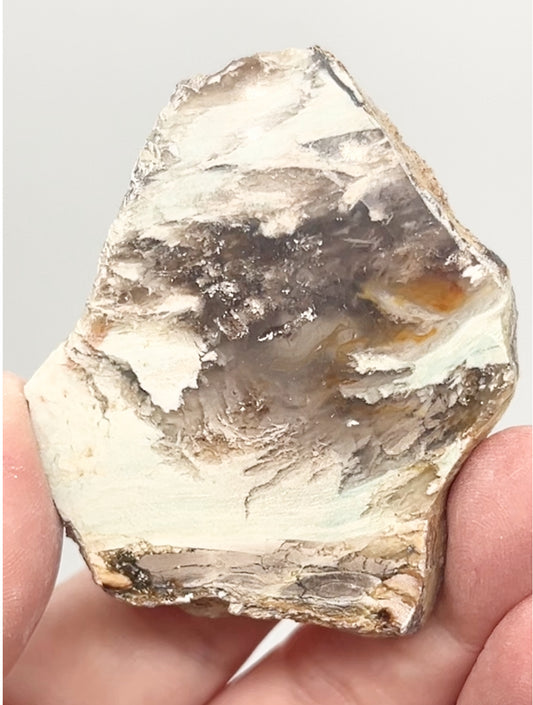 Green-Blue Petrified Wood 🪵 #6 From Turkey 🇹🇷