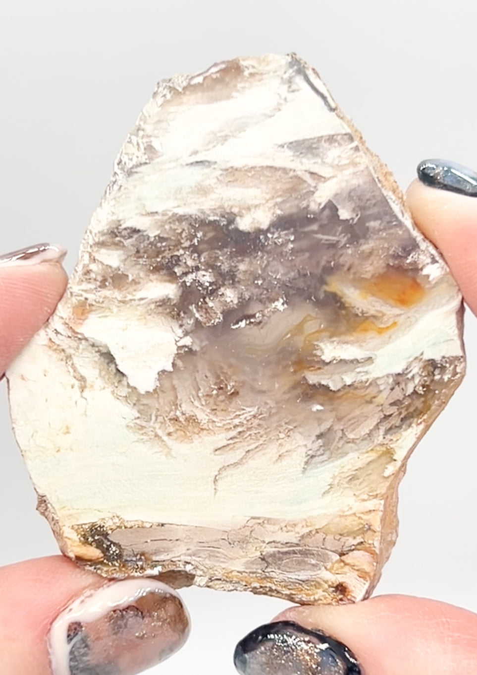 Green-Blue Petrified Wood 🪵 #6 From Turkey 🇹🇷