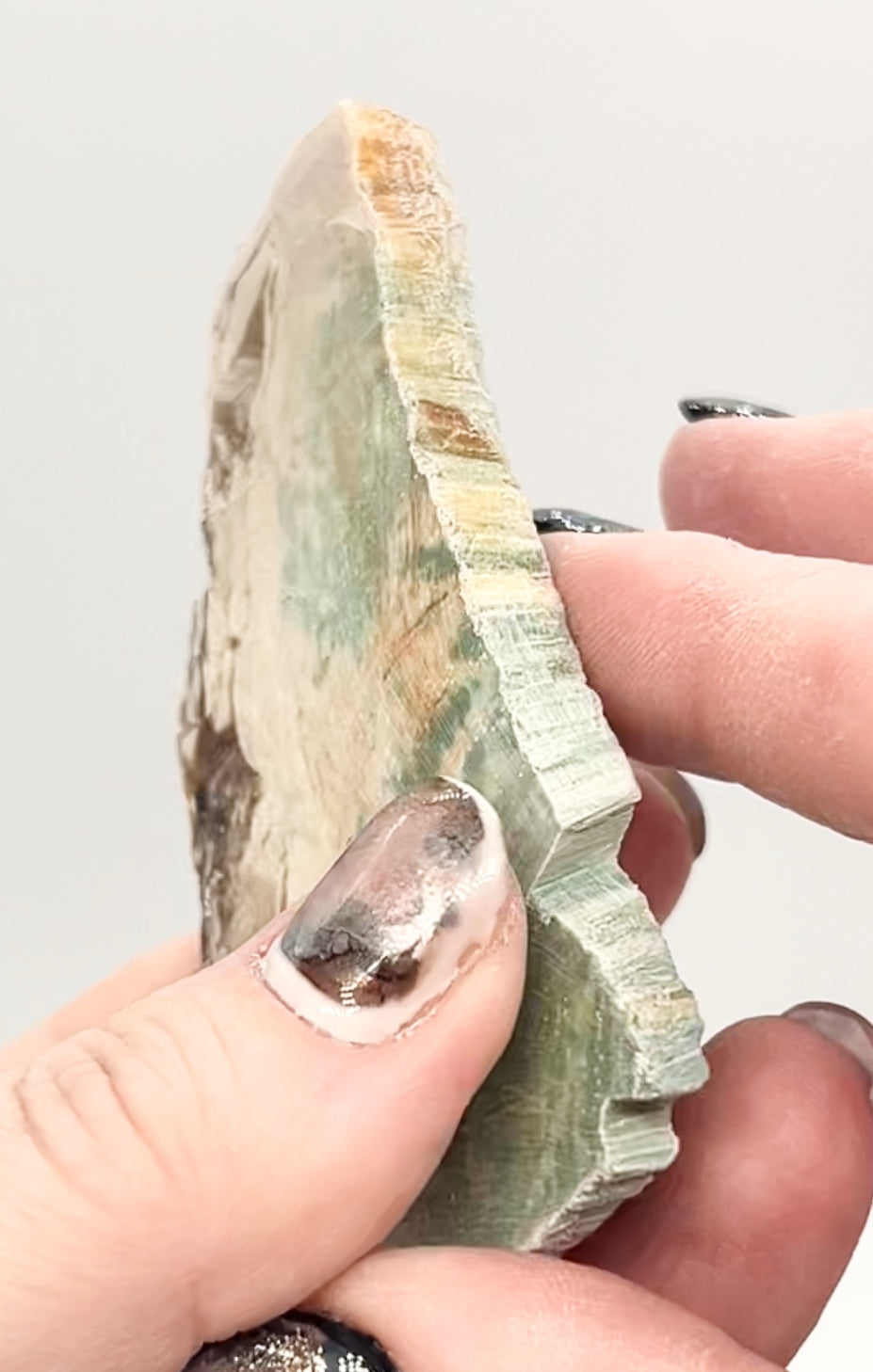 Green-Blue Petrified Wood 🪵 #7 From Turkey 🇹🇷