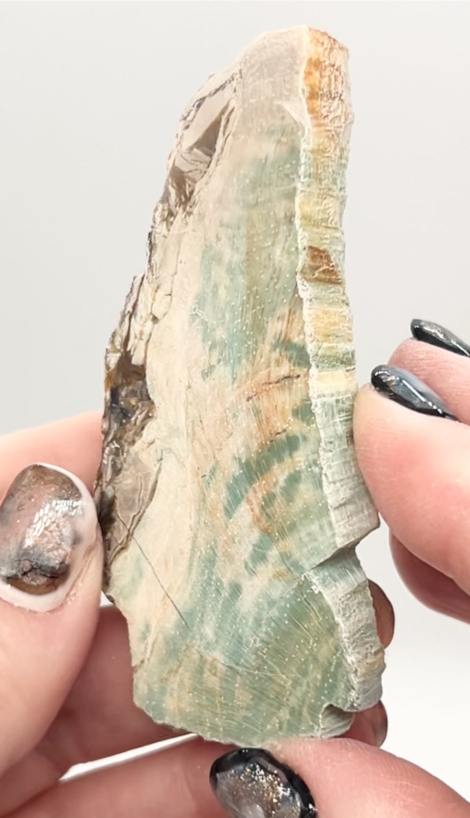 Green-Blue Petrified Wood 🪵 #7 From Turkey 🇹🇷