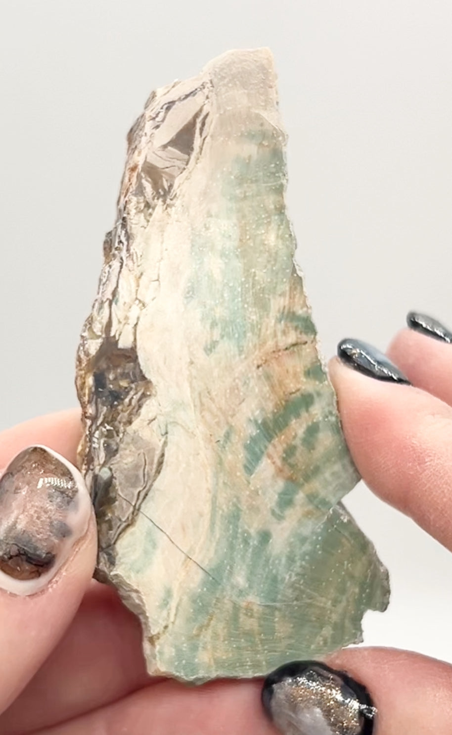 Green-Blue Petrified Wood 🪵 #7 From Turkey 🇹🇷