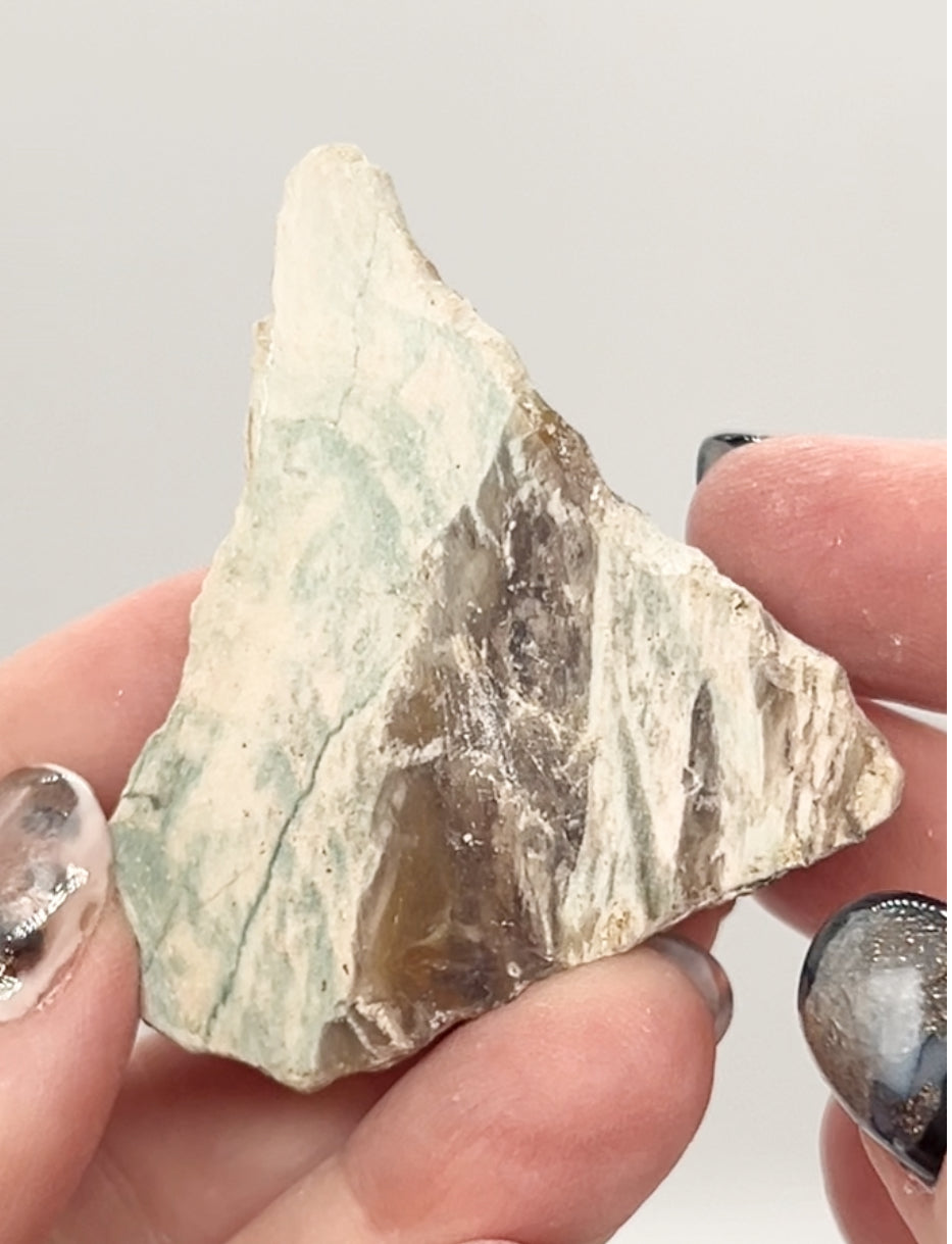 Green-Blue Petrified Wood 🪵 #8 From Turkey 🇹🇷