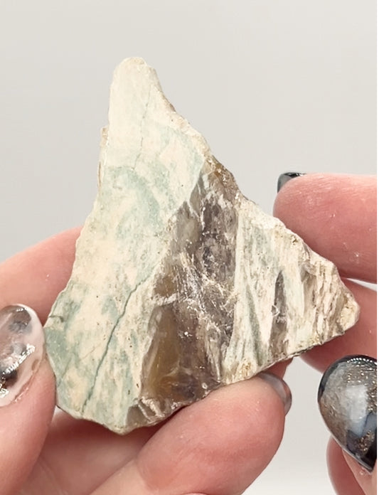 Green-Blue Petrified Wood 🪵 #8 From Turkey 🇹🇷