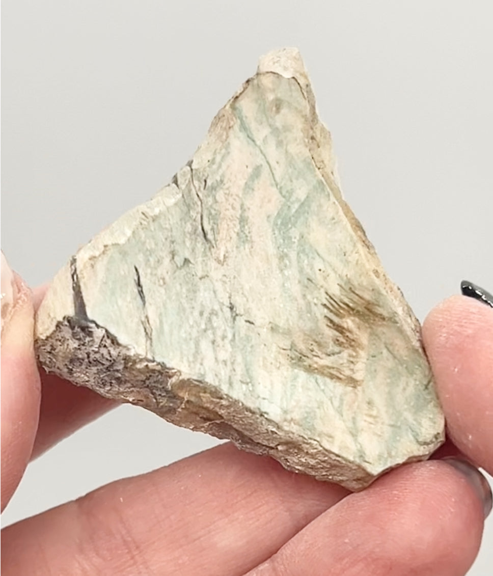 Green-Blue Petrified Wood 🪵 #8 From Turkey 🇹🇷