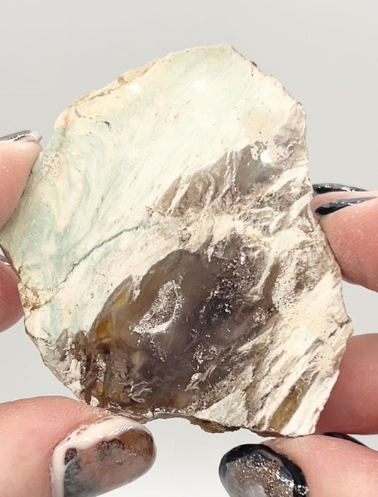 Green-Blue Petrified Wood 🪵 #9 From Turkey 🇹🇷