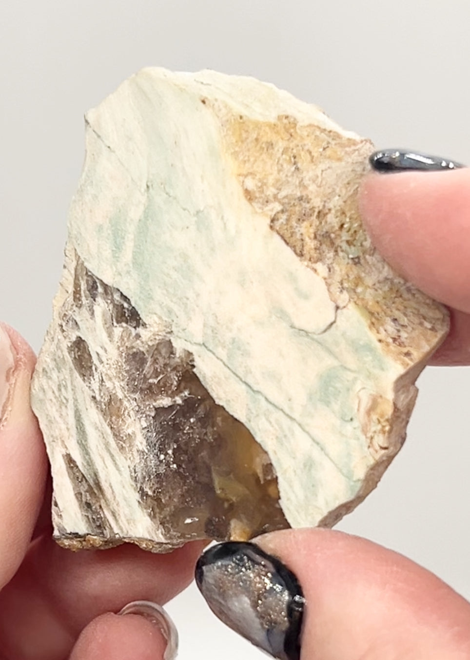 Green-Blue Petrified Wood 🪵 #9 From Turkey 🇹🇷