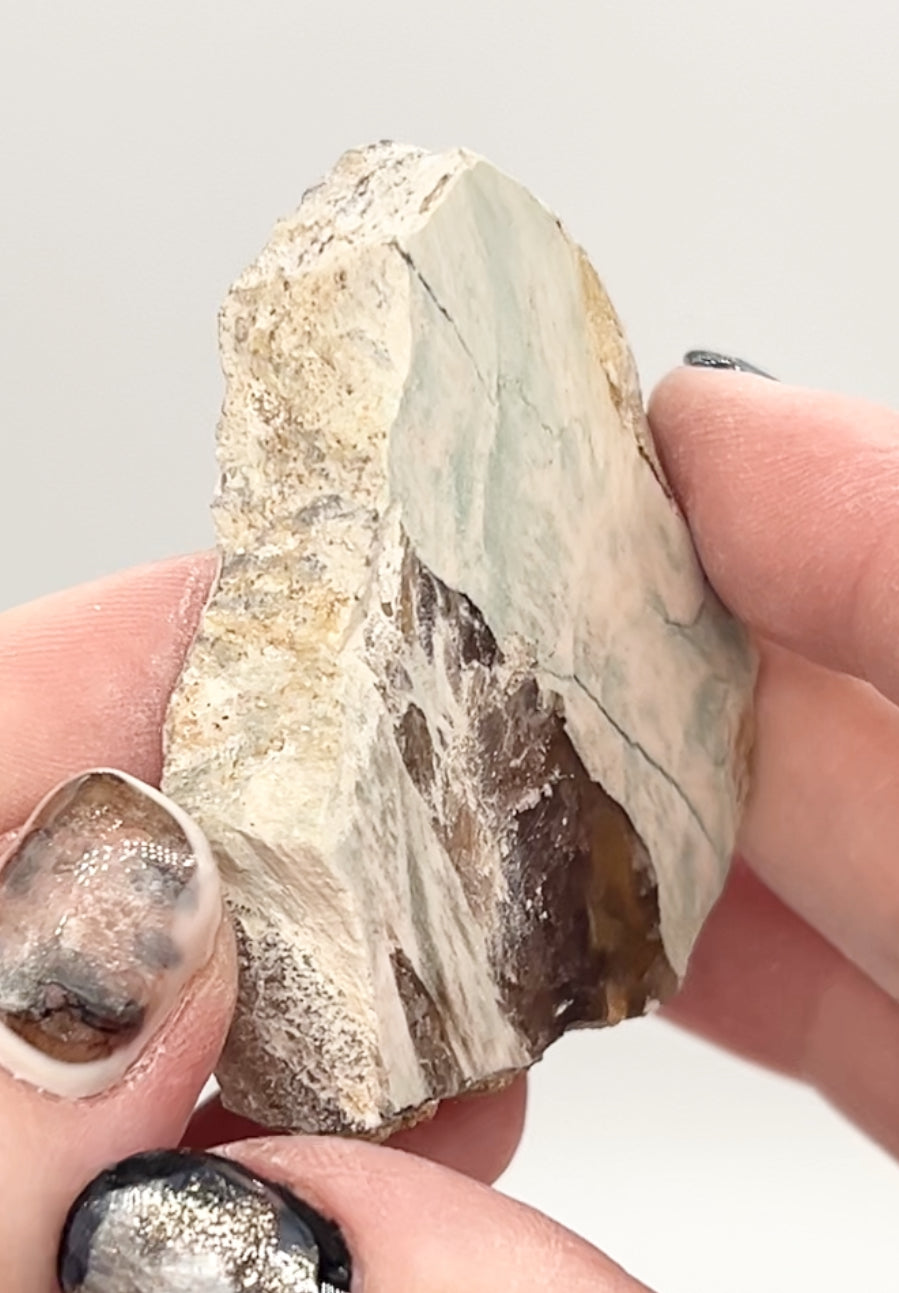 Green-Blue Petrified Wood 🪵 #9 From Turkey 🇹🇷
