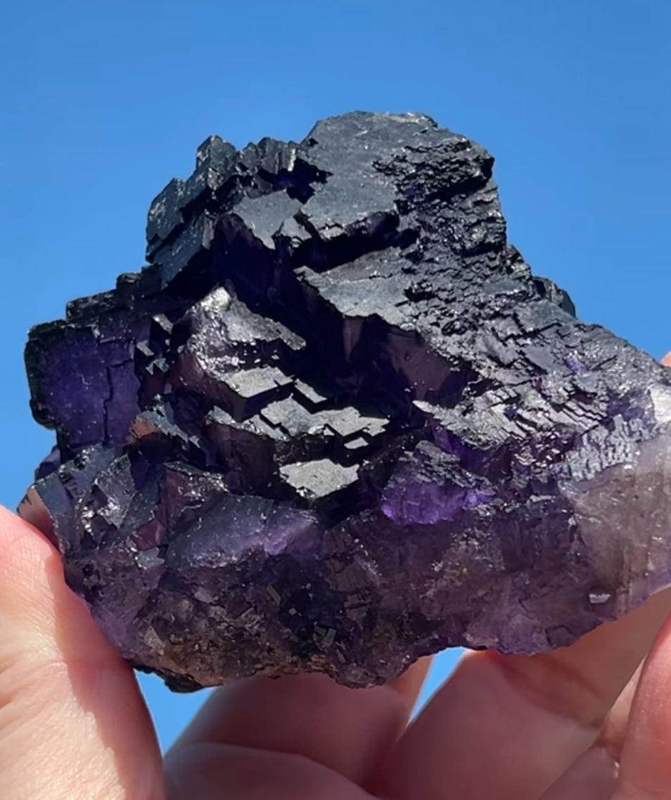 Purple & White Step Fluorite XL from La Encantada Mine, Muzquiz, Coahuila, México 🇲🇽 #1
