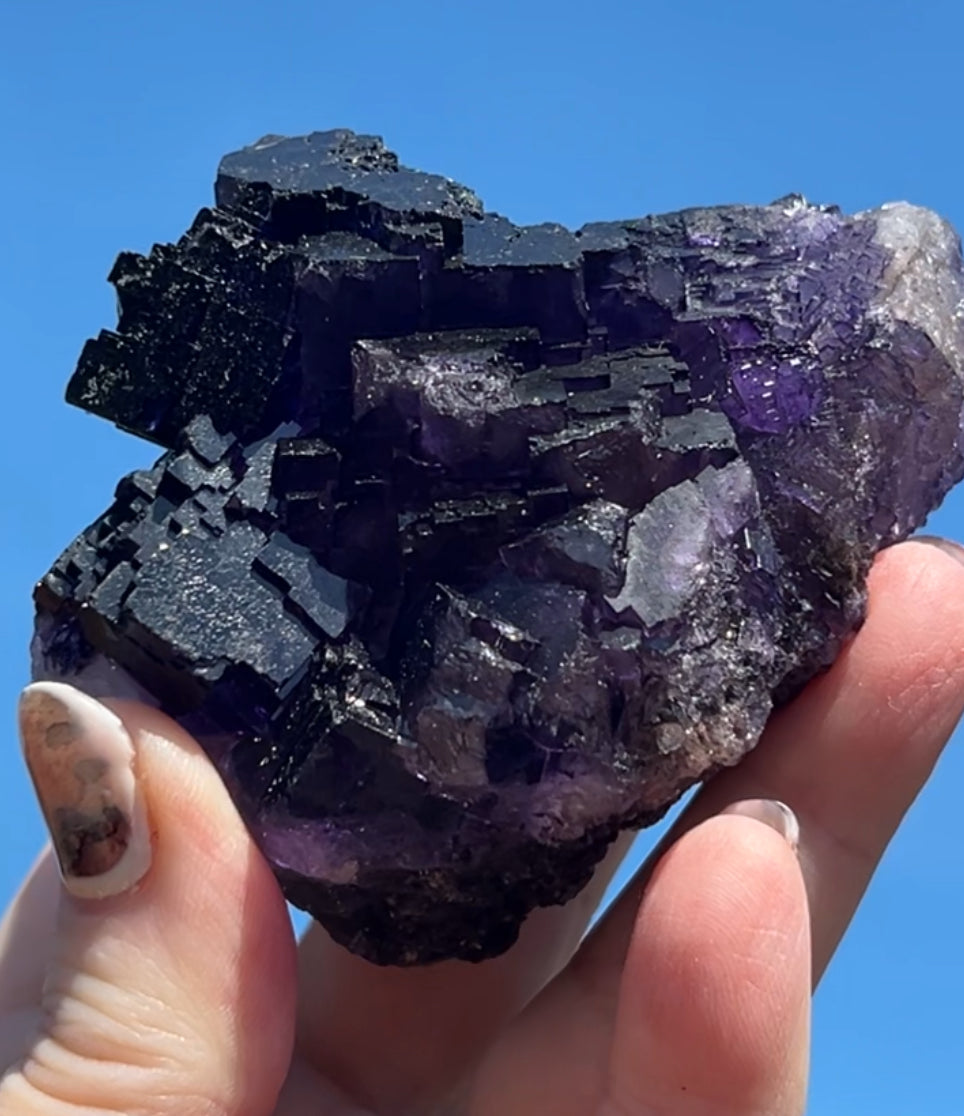 Purple & White Step Fluorite XL from La Encantada Mine, Muzquiz, Coahuila, México 🇲🇽 #1