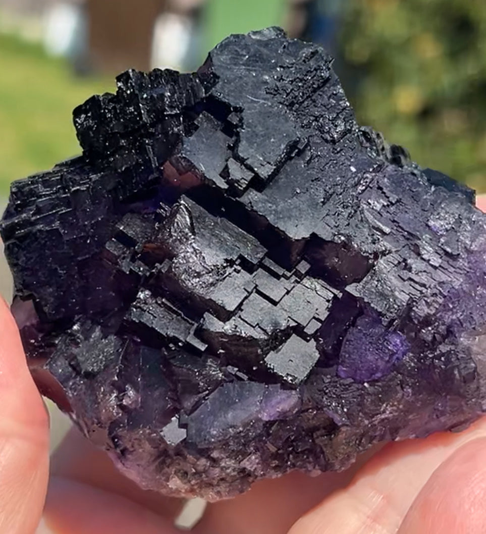 Purple & White Step Fluorite XL from La Encantada Mine, Muzquiz, Coahuila, México 🇲🇽 #1
