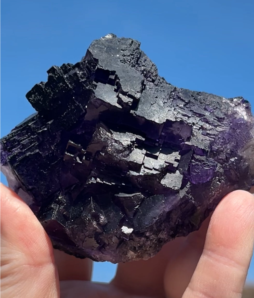 Purple & White Step Fluorite XL from La Encantada Mine, Muzquiz, Coahuila, México 🇲🇽 #1