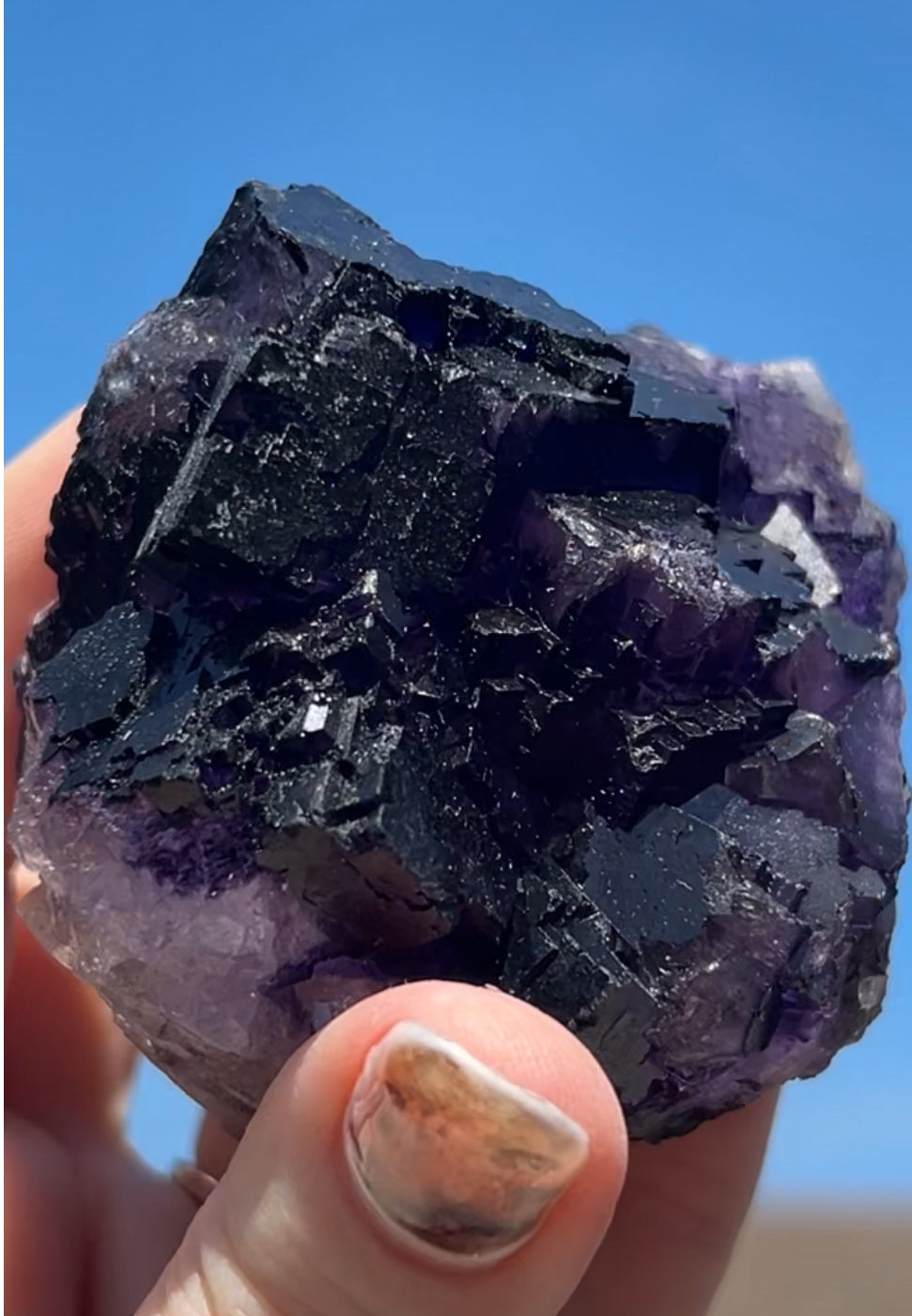 Purple & White Step Fluorite XL from La Encantada Mine, Muzquiz, Coahuila, México 🇲🇽 #1