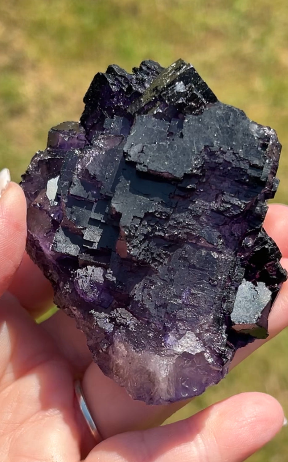 Purple & White Step Fluorite XL from La Encantada Mine, Muzquiz, Coahuila, México 🇲🇽 #1