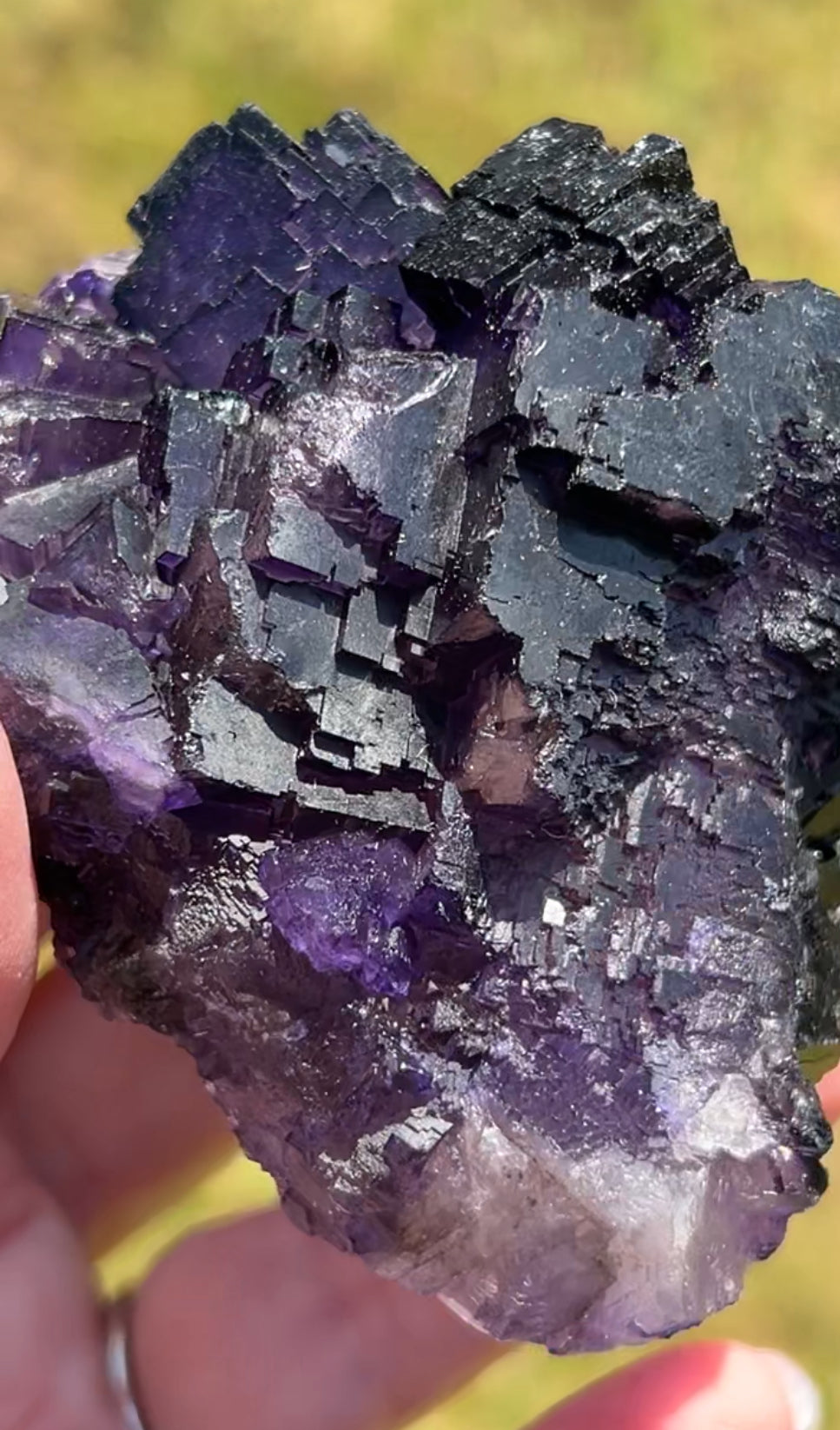 Purple & White Step Fluorite XL from La Encantada Mine, Muzquiz, Coahuila, México 🇲🇽 #1