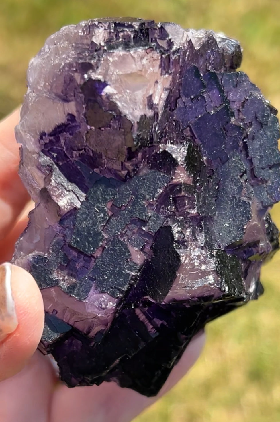 Purple & White Step Fluorite XL from La Encantada Mine, Muzquiz, Coahuila, México 🇲🇽 #3