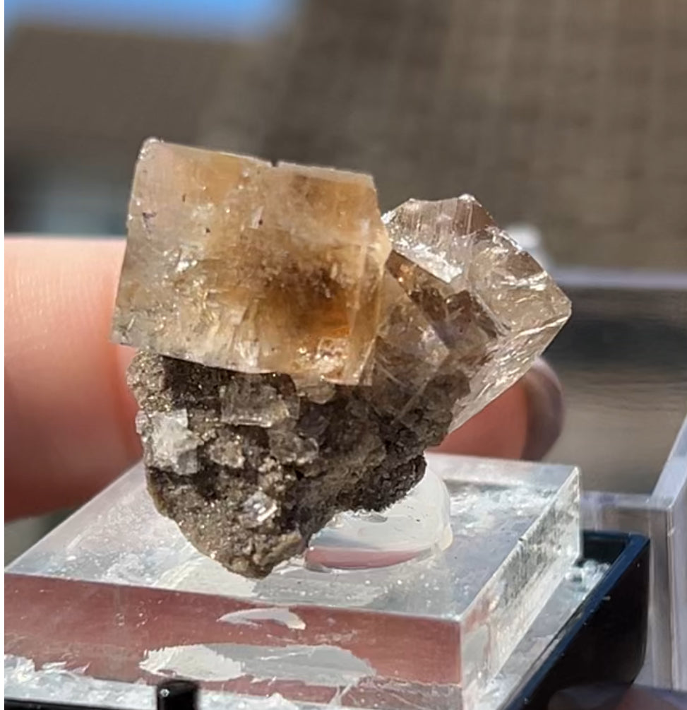 Clear Fluorite with Clay Inclusions On Quartz from Flamboro Quarry, Hamilton, Ontario, Canada 🇨🇦 Small In Box