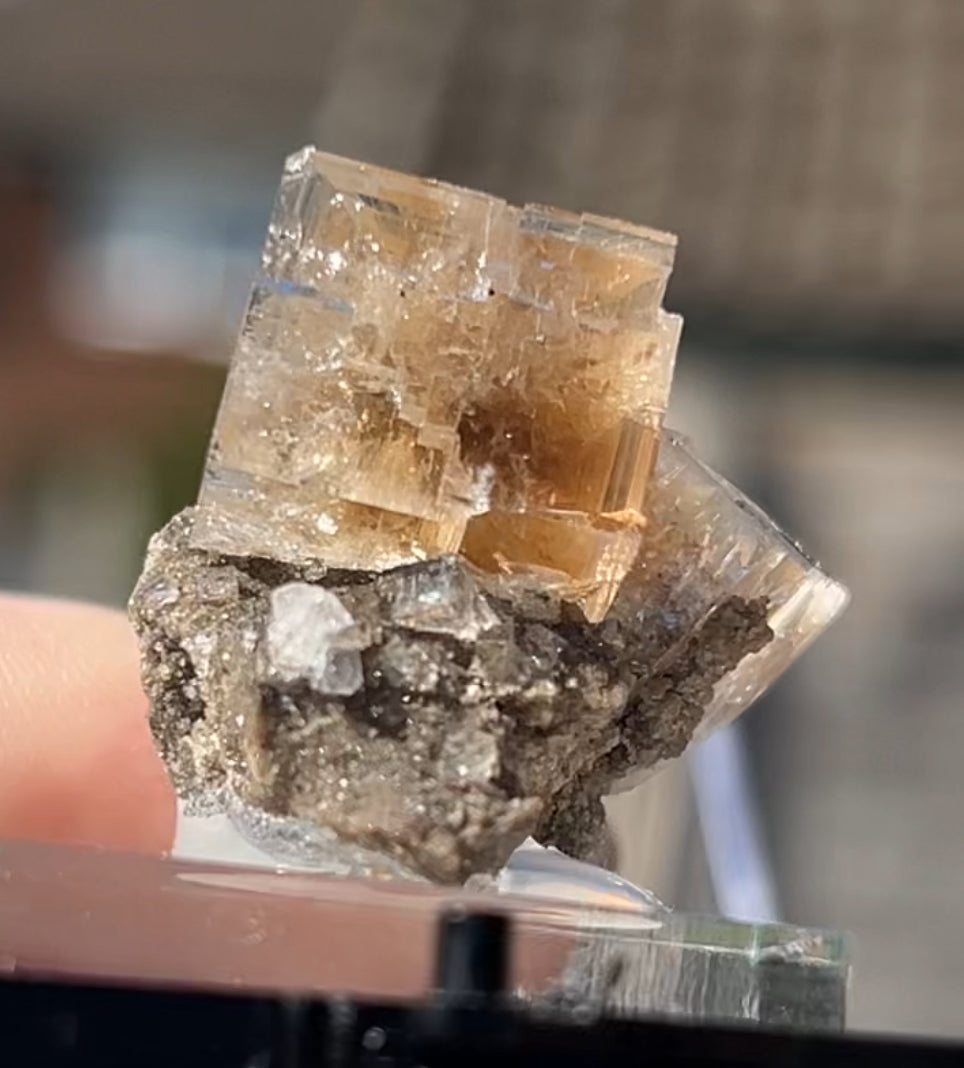 Clear Fluorite with Clay Inclusions On Quartz from Flamboro Quarry, Hamilton, Ontario, Canada 🇨🇦 Small In Box