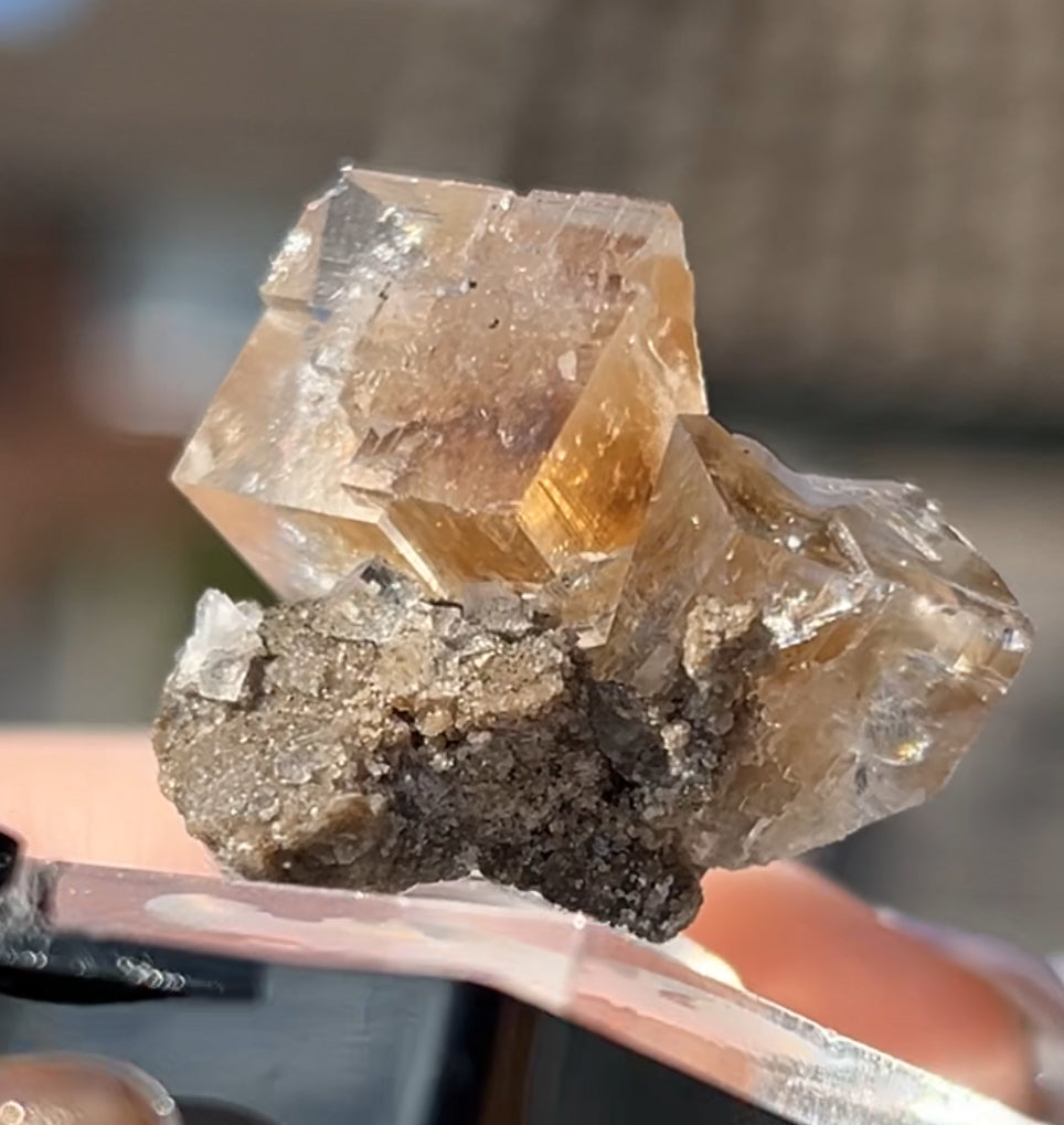Clear Fluorite with Clay Inclusions On Quartz from Flamboro Quarry, Hamilton, Ontario, Canada 🇨🇦 Small In Box