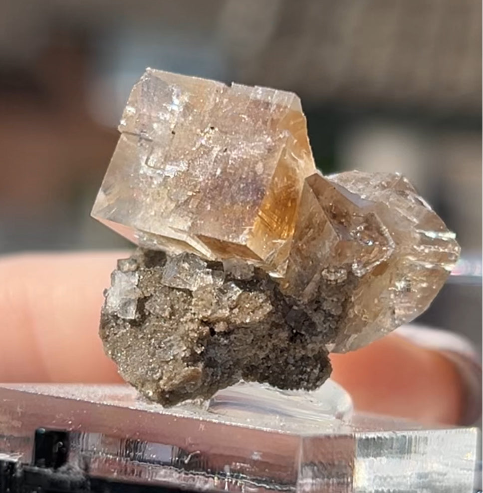Clear Fluorite with Clay Inclusions On Quartz from Flamboro Quarry, Hamilton, Ontario, Canada 🇨🇦 Small In Box