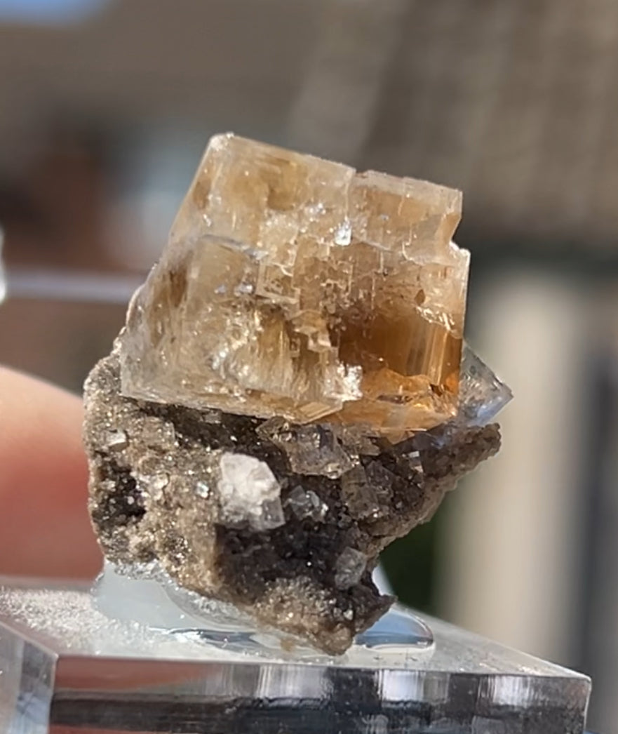 Clear Fluorite with Clay Inclusions On Quartz from Flamboro Quarry, Hamilton, Ontario, Canada 🇨🇦 Small In Box