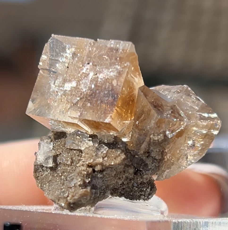 Clear Fluorite with Clay Inclusions On Quartz from Flamboro Quarry, Hamilton, Ontario, Canada 🇨🇦 Small In Box