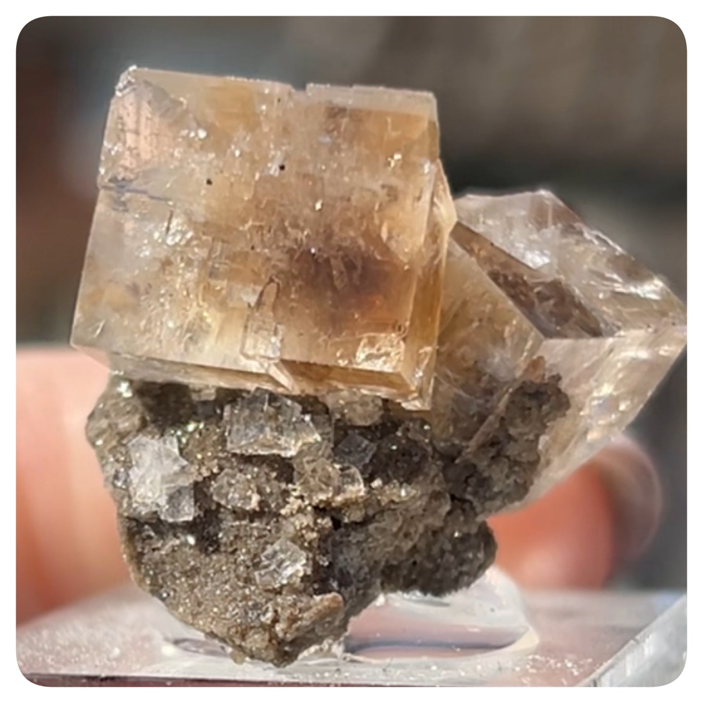 Clear Fluorite with Clay Inclusions On Quartz from Flamboro Quarry, Hamilton, Ontario, Canada 🇨🇦 Small In Box