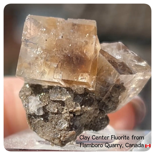 Clear Fluorite with Clay Inclusions On Quartz from Flamboro Quarry, Hamilton, Ontario, Canada 🇨🇦 Small In Box