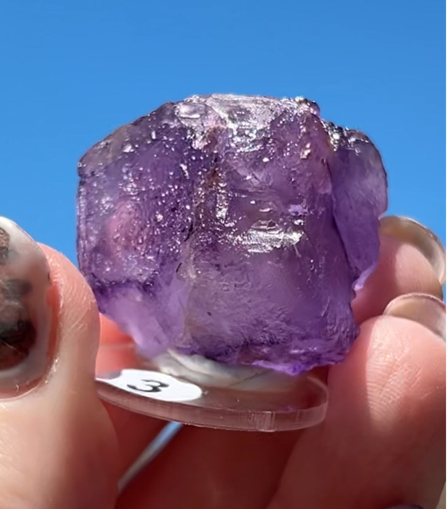 Purple Fluorite Cube (Red UV) from Ojuela Mine, Mapimi, Durango, México 🇲🇽 Pick Your Specimen - Small