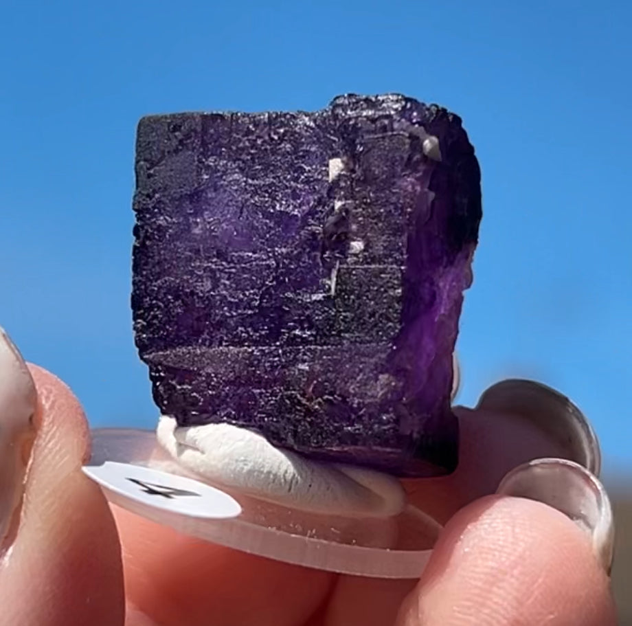 Purple Fluorite Cube (Red UV) from Ojuela Mine, Mapimi, Durango, México 🇲🇽 Pick Your Specimen - Small