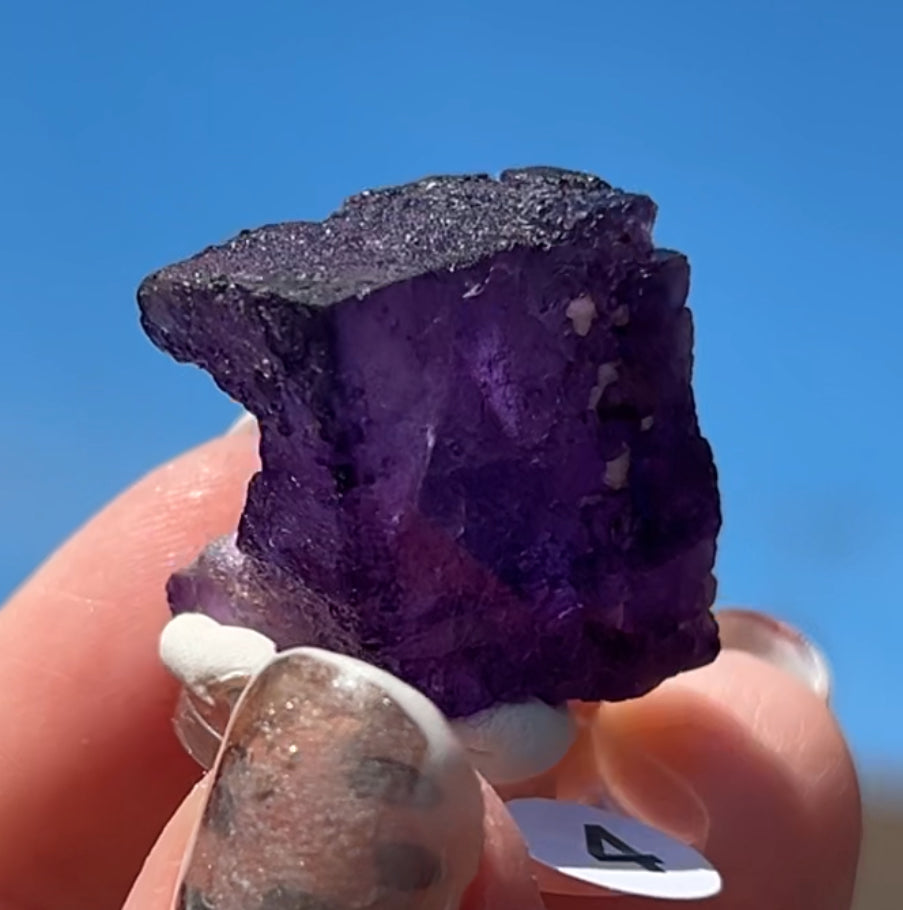 Purple Fluorite Cube (Red UV) from Ojuela Mine, Mapimi, Durango, México 🇲🇽 Pick Your Specimen - Small