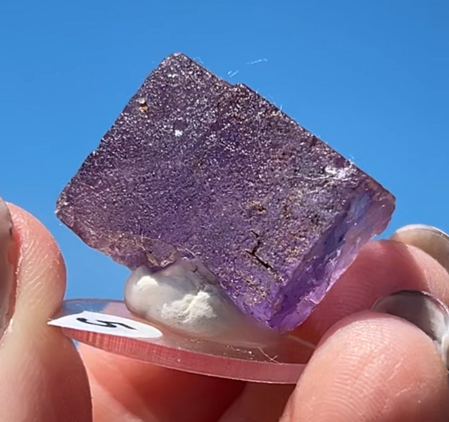 Purple Fluorite Cube (Red UV) from Ojuela Mine, Mapimi, Durango, México 🇲🇽 Pick Your Specimen - Small