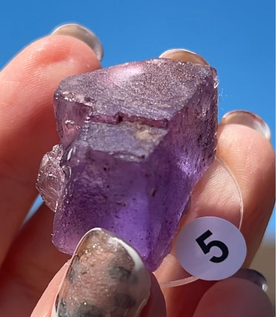 Purple Fluorite Cube (Red UV) from Ojuela Mine, Mapimi, Durango, México 🇲🇽 Pick Your Specimen - Small